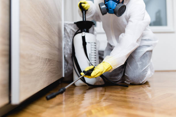 Flea Control Services in Westwood Shores, TX