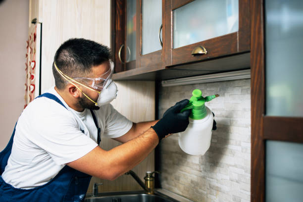 Pest Control Cost in Westwood Shores, TX