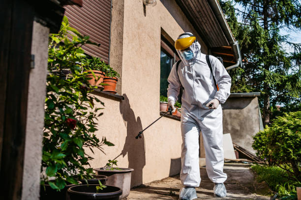 Professional Pest Control in Westwood Shores, TX