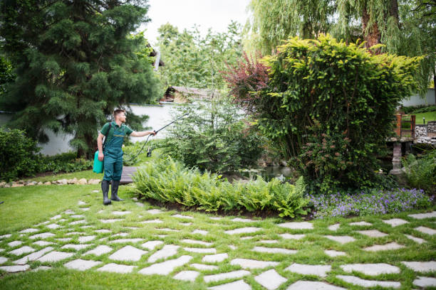 Best Wildlife Control Services  in Westwood Shores, TX