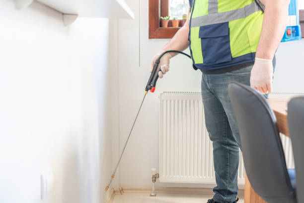 Best Pest Control Near Me  in Westwood Shores, TX
