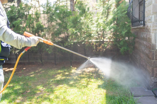 Best Pest Prevention Services  in Westwood Shores, TX